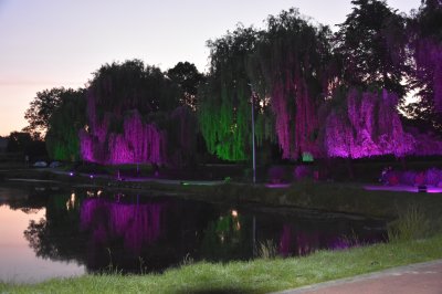 Koncert na molo - Przedwieczór i wieczór poezji Iwony Folusz